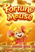 Fortune Mousse en PG666 COM